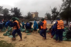 Hàng trăm cán bộ, chiến sỹ và người dân Thừa Thiên-Huế gia cố bờ biển sạt lở. (Ảnh: TTXVN phát) 