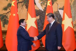 Thủ tướng Phạm Minh Chính hội kiến Tổng Bí thư, Chủ tịch Trung Quốc Tập Cận Bình. (Ảnh: Dương Giang/TTXVN)