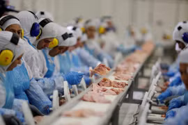 Công nhân của nhà máy JBS tại Brazil. (Nguồn: Reuters) 