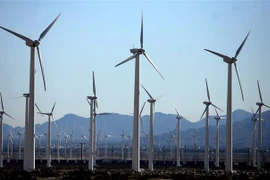 Ảnh minh họa. (Nguồn: AFP/TTXVN)