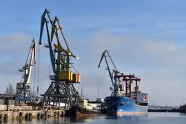 Tàu container neo tại cảng Berdyansk, miền Đông Ukraine. (Ảnh: AFP/TTXVN) 