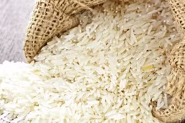 Philippines là một trong những nước nhập khẩu ngũ cốc nhiều nhất thế giới. (Nguồn: Foodnavigator-asia)