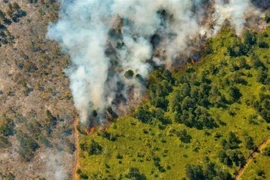 Khói bốc lên từ đám cháy rừng tại Pinares de Mayari, Cuba ngày 23/2/2023. (Ảnh: REUTERS/TTXVN)