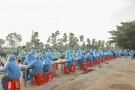 Bình Dương huy động 600 đội lấy mẫu xét nghiệm, trong đó hơn 3.000 thanh niên tình nguyện trong tỉnh tham gia. (Ảnh: TTXVN phát) 