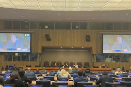 Tham tán Công sứ Nguyễn Hoàng Nguyên, Phó Trưởng Phái đoàn thường trực Việt Nam tại Liên hợp quốc, tham dự Phiên họp thường niên thứ 61 của Ủy ban Phát triển Xã hội (CSocD61) ngày 13/2/2023. (Ảnh: Trần Thanh Tuấn/TTXVN)