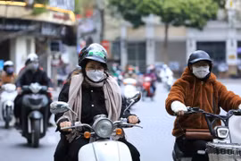 (Ảnh minh họa: Hoàng Hiếu/TTXVN) 