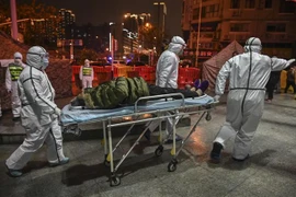 Nhân viên y tế chuyển bệnh nhân nhiễm virus corona gây viêm phổi tới bệnh viện Chữ thập Đỏ ở Vũ Hán, tỉnh Hồ Bắc ngày 25/1/2020. (Nguồn: AFP/TTXVN) 