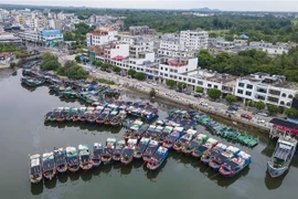 Tàu thuyền neo đậu tránh bão Talim tại tỉnh Hải Nam, Trung Quốc, ngày 17/7/2023. (Ảnh: AFP/TTXVN)