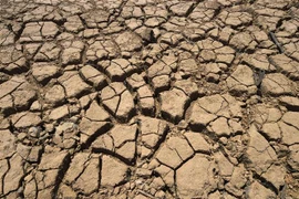 Cảnh hạn hán ở California, Mỹ. (Ảnh: AFP/TTXVN) 