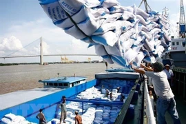 Bốc dỡ gạo xuất khẩu. (Nguồn: TTXVN) 
