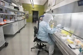 Nhân viên xét nghiệm các mẫu bệnh phẩm COVID-19 tại bệnh viện ở Tehran, Iran. (Nguồn: IRNA/TTXVN) 