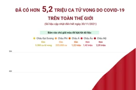 [Infographics] Thế giới đã có hơn 5,2 triệu ca tử vong do COVID-19