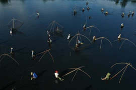 [Photo] Độc đáo lễ hội Phá trằm bắt cá ở tỉnh Quảng Trị