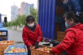 Người dân đeo khẩu trang phòng dịch COVID-19 tại Bình Nhưỡng, Triều Tiên, ngày 16/5/2022. (Ảnh: Kyodo/TTXVN) 