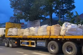 Xe đầu kéo chở hơn 6 tấn rác thải bị lực lượng chức năng bắt quả tang. (Ảnh: TTXVN phát)