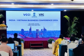 Quang cảnh Hội nghị Doanh nghiệp Việt Nam-Ấn Độ. (Ảnh: Mỹ Phương/TTXVN)