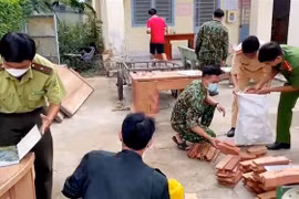 Tổ công tác kiểm đếm số giường và bàn gỗ bị tạm giữ. (Ảnh: TTXVN phát) 