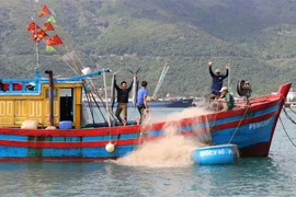 Ngư dân thôn Vũng Rô xã Hòa Xuân Nam, thị xã Đông Hòa, Phú Yên vui mừng vì khai thác được nhiều loại cá có giá trị trong chuyến đi biển đầu năm 2021. (Ảnh: Phạm Cường/TTXVN) 