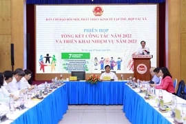 Phó Thủ tướng Lê Minh Khái, Trưởng Ban Chỉ đạo Đổi mới, phát triển kinh tế tập thể, hợp tác xã phát biểu chỉ đạo. (Ảnh: An Đăng/TTXVN)