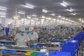 (Ảnh minh họa: Thanh Tuấn/TTXVN) 