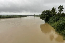 Do mưa lớn, nước sông Trà Khúc qua địa bàn thành phố Quảng Ngãi đang dâng cao. (Ảnh: Phạm Cường/TTXVN)