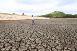 (Ảnh minh họa: Vũ Sinh/TTXVN) 