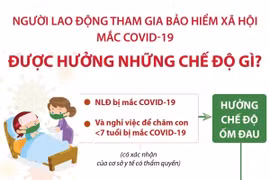 [Infographics] Người lao động mắc COVID-19 được hưởng những chế độ gì?
