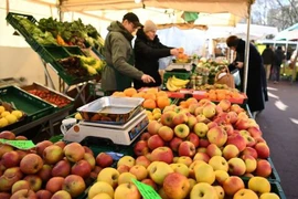 Khách hàng chọn mua đồ tại một khu chợ ở Berlin, Đức. (Ảnh: Reuters/TTXVN)