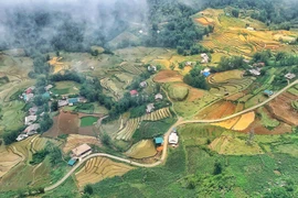 Thung lũng Mường Hoa, Sapa mùa đổ nước. (Ảnh: Xuân Mai/Vietnam+) 