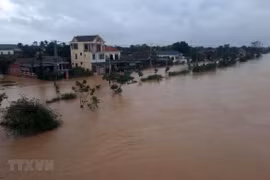 (Ảnh minh họa: Hồ Cầu/TTXVN) 