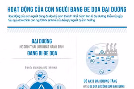 [Infographics] Hoạt động của con người đang đe dọa đại dương