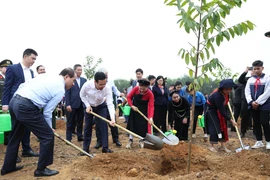 Chủ tịch nước dự Lễ phát động Tết trồng cây “Đời đời nhớ ơn Bác Hồ”