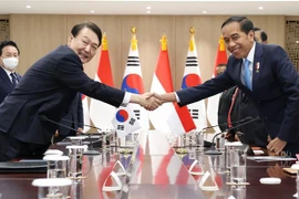 Tổng thống Hàn Quốc Yoon Suk-yeol (trái) và Tổng thống Indonesia Joko Widodo (phải) tại cuộc hội đàm ở Seoul ngày 28/7/2022. (Ảnh: Yonhap/TTXVN) 