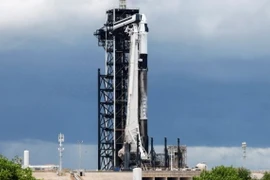 Tên lửa đẩy Falcon 9 của Công ty Space X được đặt vào bệ phóng tại Trung tâm vũ trụ Kenedy ở bang Florida, ngày 26/8/2024. (Ảnh: REUTERS/TTXVN)