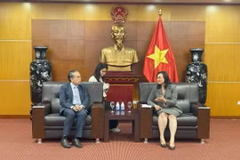 Ông Hứa Chính Vũ, Cục trưởng Cục Dịch vụ Tài chính và Kho bạc Hong Kong (bên trái) gặp Thứ trưởng Bộ Công Thương Phan Thị Thắng trong chuyến thăm Việt Nam từ ngày 13-15/12. (Ảnh: TTXVN phát)