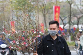 (Ảnh minh họa: Thanh Tùng/TTXVN) 