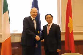 Phó Thủ tướng, Bộ trưởng Ngoại giao và Quốc phòng Ireland Micheál Martin đón Bộ trưởng Ngoại giao Bùi Thanh Sơn tại trụ sở Bộ Ngoại giao Ireland. (Ảnh: Phong Hà/TTXVN)