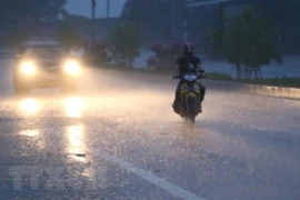 Ảnh minh họa. (Ảnh: Duy Khương/TTXVN) 