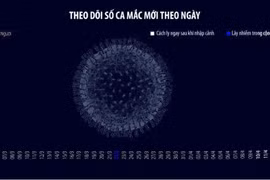 [Videographics] Các ca mắc COVID-19 tại Việt Nam trong một tháng qua
