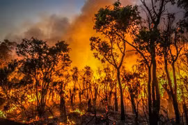 Khói lửa bốc lên tại đám cháy rừng gần sông Margaret, Australia ngày 8/12/2021. (Ảnh: AFP/TTXVN) 