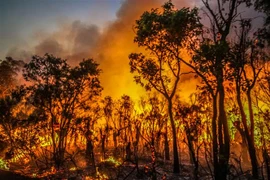 Khói lửa bốc lên tại đám cháy rừng gần sông Margaret, Australia ngày 8/12/2021. (Ảnh: AFP/TTXVN) 