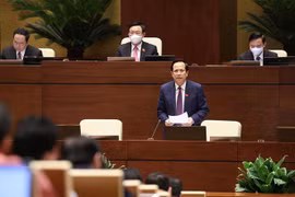 Bộ trưởng Bộ Lao động Thương binh và Xã hội Đào Ngọc Dung giải trình ý kiến đại biểu Quốc hội nêu. (Ảnh: Dương Giang/TTXVN) 