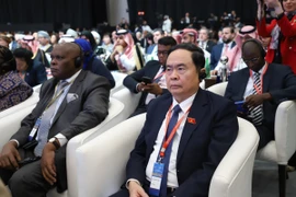 Phó Chủ tịch thường trực Quốc hội Trần Thanh Mẫn. (Ảnh: Minh Đức/TTXVN)