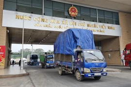 Những lô hàng xuất khẩu đầu tiên qua cửa khẩu quốc tế Lào Cai. (Ảnh: Hương Thu/TTXVN) 