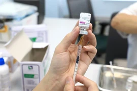 (Ảnh: Thành Đạt/TTXVN) 