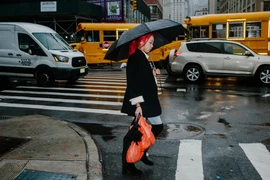 New York sử dụng hơn 23 triệu các loại túi nylon mỗi năm. (Nguồn: The New York Times) 