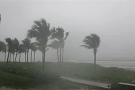 Mưa lớn kèm gió to tại biển Mỹ Khê, quận Sơn Trà, thành phố Đà Nẵng. (Ảnh: Văn Dũng/TTXVN)
