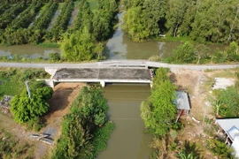 Sau khi xây dựng được 2 nhịp, cầu Gáo Giồng nằm im suốt hơn 5 năm qua. (Ảnh: Nhựt An/TTXVN)