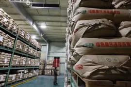 Gạo Nhật Bản được bày bán tại siêu thị. (Ảnh: Kyodo/TTXVN)