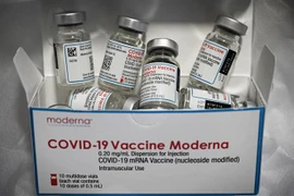 Vaccine ngừa COVID-19 của hãng dược phẩm Moderna. (Ảnh: AFP/TTXVN) 